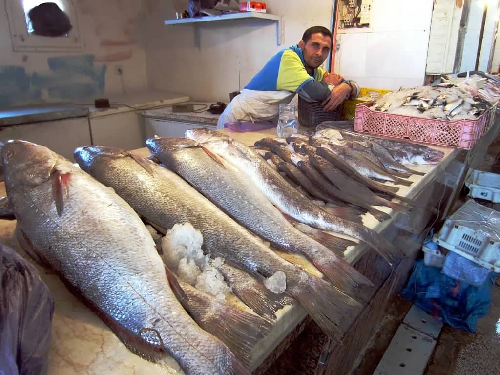بيرو تقرر فتح قنصلية بالداخلة دعما لسيادة المغرب على الصحراء