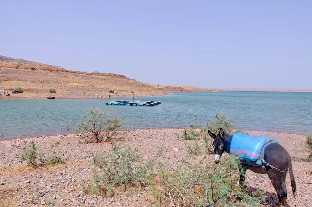 Morocco Launches 11 New Dams Across 8 Provinces for 339M DH