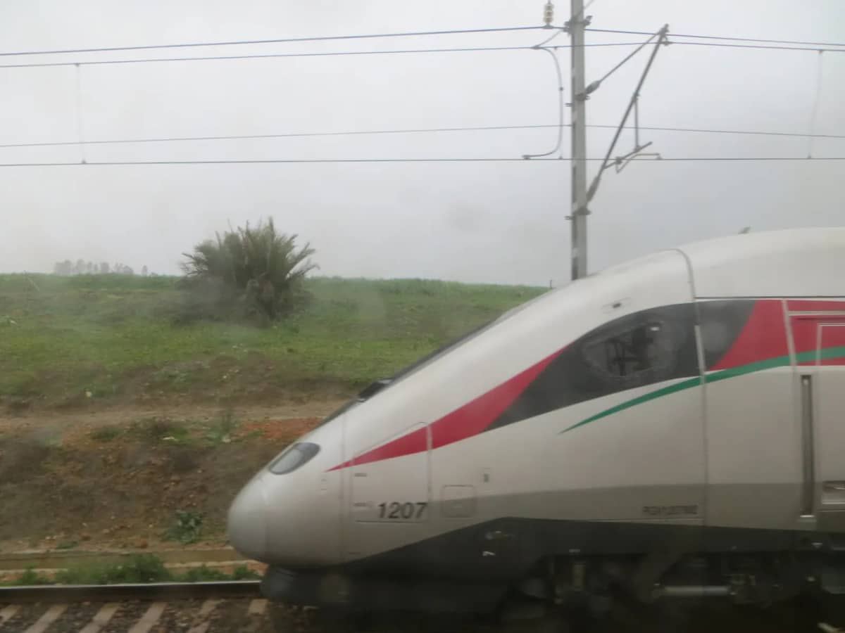 LGV Kénitra-Marrakech : le viaduc de Settat à 900 MDH