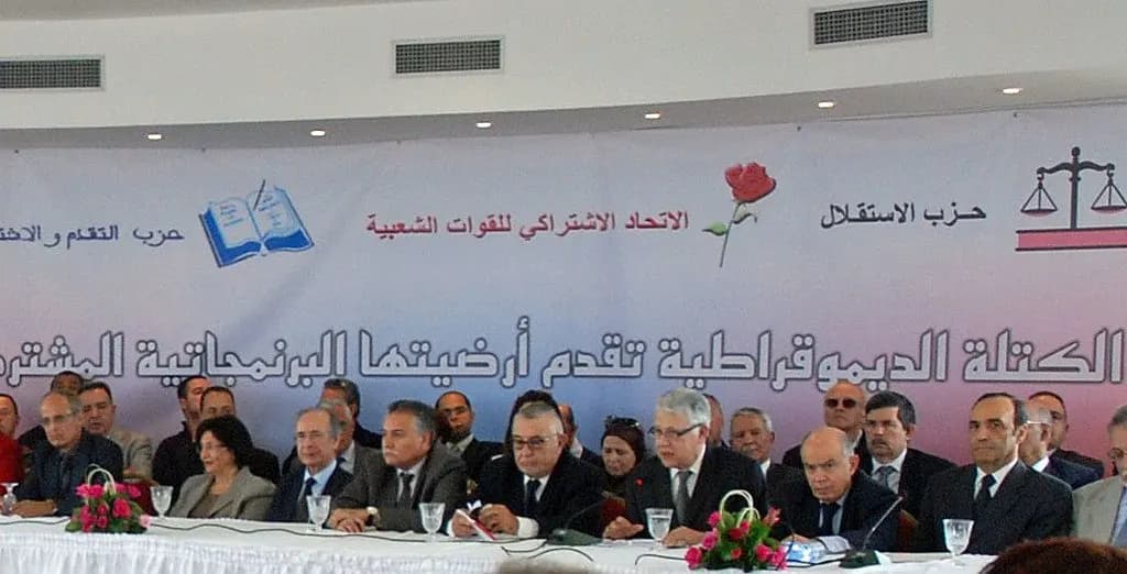 Fatima al-Zahra al-Mansouri: The bloc's parties impose a veto on the free