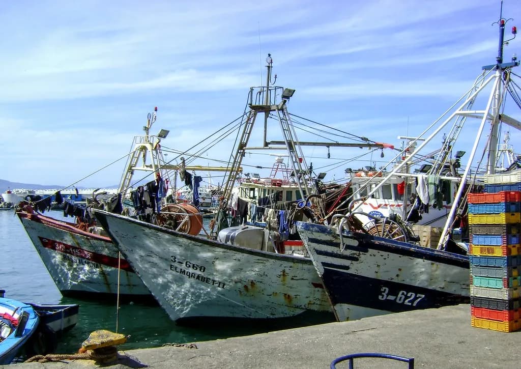 مجلس طنجة تطوان: مدينة تحت الماء بالمديق بـ40 مليون درهم