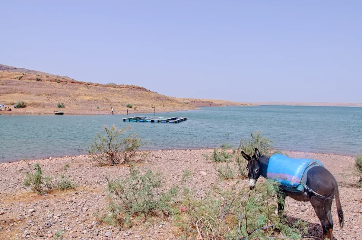 Barrages au Maroc : 11 projets dans 8 provinces pour 339 MDH